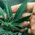 What does cbda help with?